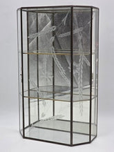 Vintage Etched Glass Brass Display Case Curio Cabinet Mirrored Hanging Standing