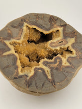 Incredible Genuine Septarian Crystal-filled Geode - 8" high