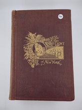 Darkness & Daylight Lights & Shadows of New York Life 1893 A D Worthington & Co