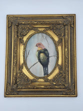 Antique Gilt Baroque Style Wood Framed Bird Painting On Wooden Oval Panel Decor.