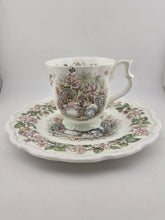 Vintage Brambly Hedge Royal Doulton “summer" Tea Cup & Plate. Cracked Cup.