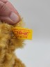 STEIFF 1920 Classic Golden Blonde 35cm Teddy Bear Mohair Jointed 028762. New.