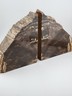 Vintage & Unique Set Of Polished Petrified Wood Bookends. Amazing Specimen.