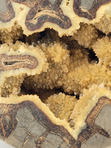 Incredible Genuine Septarian Crystal-filled Geode - 8" high