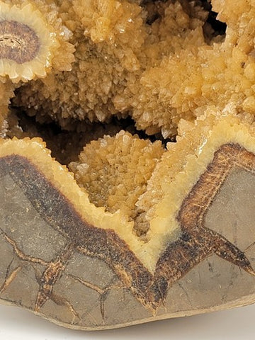 Incredible Genuine Septarian Crystal-filled Geode - 8" high