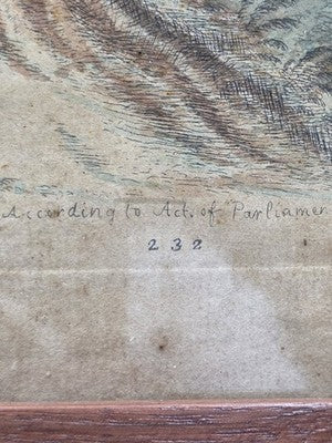 1755 GEORGE EDWARDS Hand Colored Copper Engraving Plate 232 PARROT / MACAW