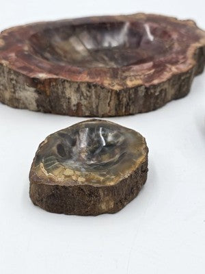 Rare Set of 3 Vintage Polished Petrified Wood Ashtrays / Catchall Bowls"