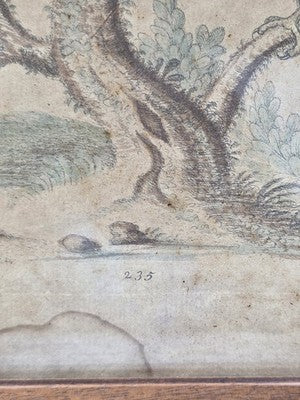 1754 GEORGE EDWARDS Hand Colored Copper Engraving Plate 235 PARROT / MACAW