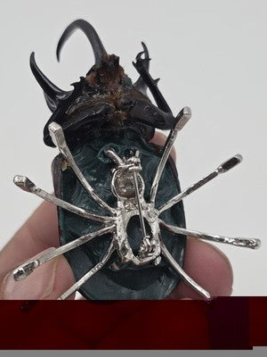 Rare Vintage Real Rhinoceros Beetle Insect Brooch Crystal Jeweled Taxidermy Pin