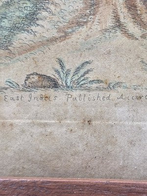 1755 GEORGE EDWARDS Hand Colored Copper Engraving Plate 232 PARROT / MACAW