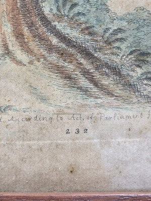 1755 GEORGE EDWARDS Hand Colored Copper Engraving Plate 232 PARROT / MACAW