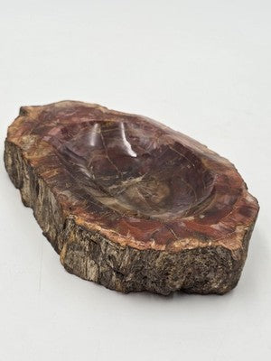 Rare Set of 3 Vintage Polished Petrified Wood Ashtrays / Catchall Bowls"