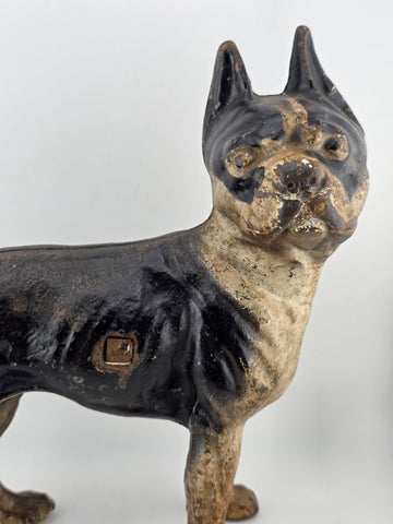 Rare Antique Hubley C 1915 Cast Iron Boston Terrier Door Stop Original Paint