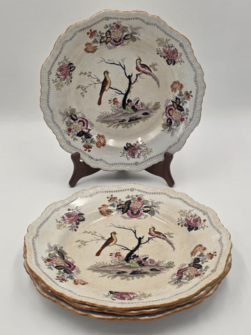Rare Set Of 4 Antique C1910 Masons Ironstone Paynsley Plates Bird Floral England