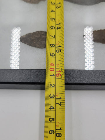 Lot Of 28 Authentic Antique Original Native American Arrowheads In Display Tray.