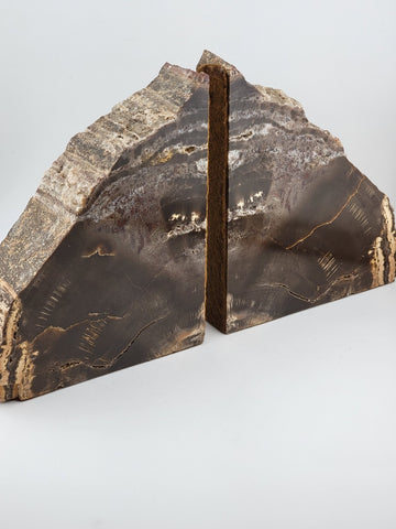 Vintage & Unique Set Of Polished Petrified Wood Bookends. Amazing Specimen.