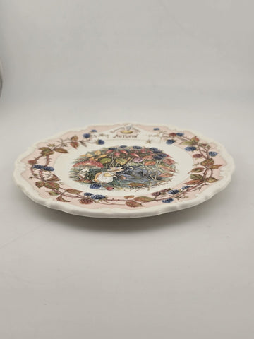 Collectible Royal Doulton Brambly Hedge Autumn Teacup/Coffee Mug & dessert plate