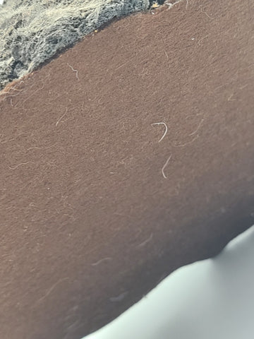 Rare Large Signed NLW Ltd Edition Stone Dolphin Sculpture 132/200 on Lava Base