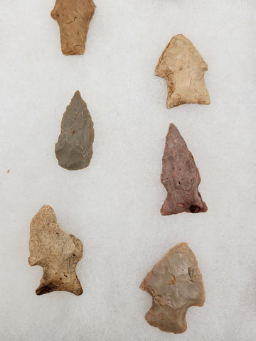 Lot Of 40 Authentic Antique Original Native American Arrowheads In Display Tray.