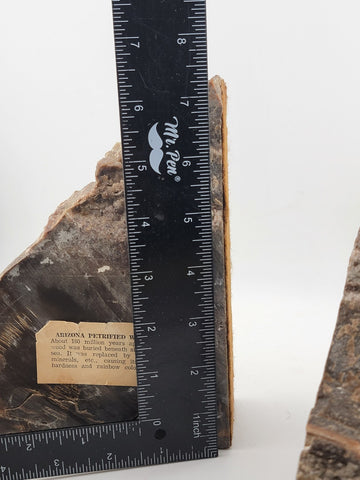Vintage & Unique Set Of Polished Petrified Wood Bookends. Amazing Specimen.