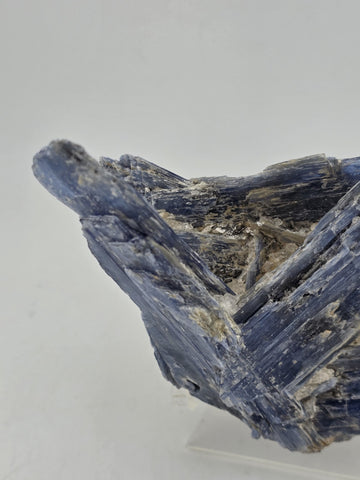 Large Blue Kyanite Crystal Cluster with Quartz Matrix Display. 1 Lb 6 Oz.