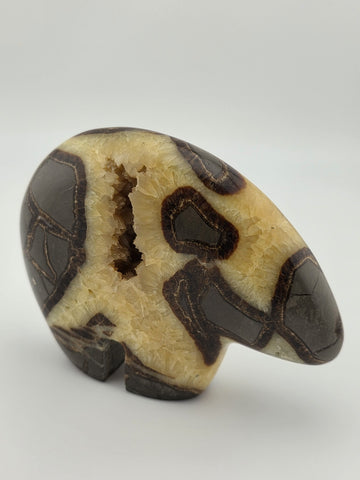 Septarian Nodule Bear Large Figurine Hand Carved Dragon Stone Crystal Sculpture