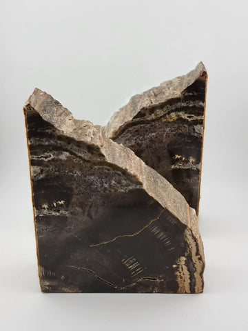 Vintage & Unique Set Of Polished Petrified Wood Bookends. Amazing Specimen.