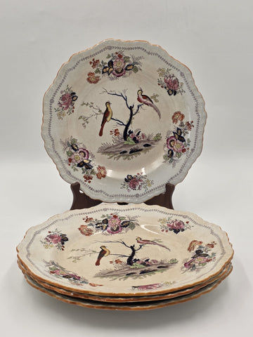 Rare Set Of 4 Antique C1910 Masons Ironstone Paynsley Plates Bird Floral England
