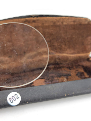 Early Pince Nez Pinch Nose Shell Frame Lens Spectacles w/Case No Frame