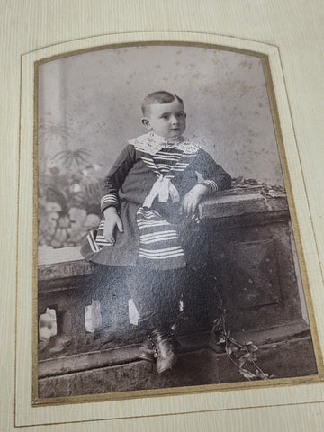 ANTIQUE 19TH C VICTORIAN ORANGE VELVET CABINET PHOTO FAMILY ALBUM. FULL PICTURES