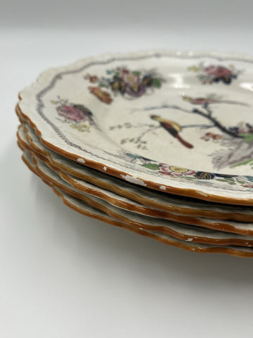 Rare Set Of 5 Antique C1910 Masons Ironstone Paynsley Plates Bird Floral England