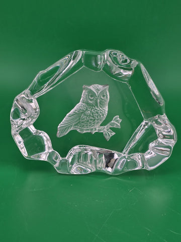 Crystal Paperweight Etched Owl On Branch Art Glass Clear