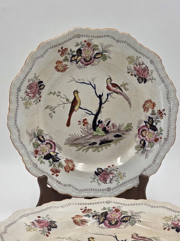 Rare Set Of 4 Antique C1910 Masons Ironstone Paynsley Plates Bird Floral England