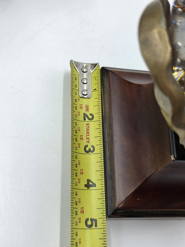 Rare Pair Of Antique Massive 6" Crystal Ball On Brass Leaves Bookends / Decor.