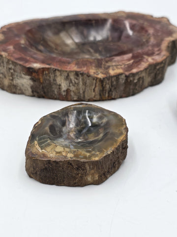 Rare Set of 3 Vintage Polished Petrified Wood Ashtrays / Catchall Bowls"