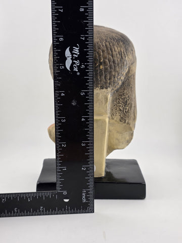 Rare Vintage Handmade Bust Of Princess Meritaten Of The Anciant Egyptian Dynasty