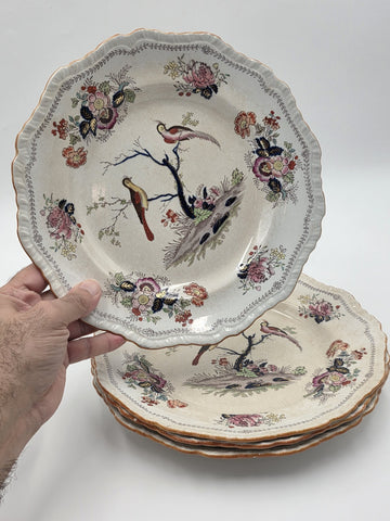 Rare Set Of 4 Antique C1910 Masons Ironstone Paynsley Plates Bird Floral England