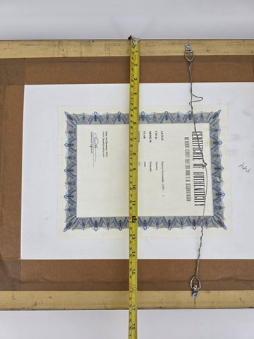 Patricia Govezensky Signed Limited Edition Serigraph 64/375 Framed Color W COA