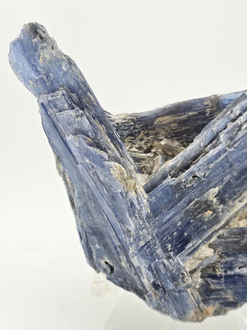 Large Blue Kyanite Crystal Cluster with Quartz Matrix Display. 1 Lb 6 Oz.