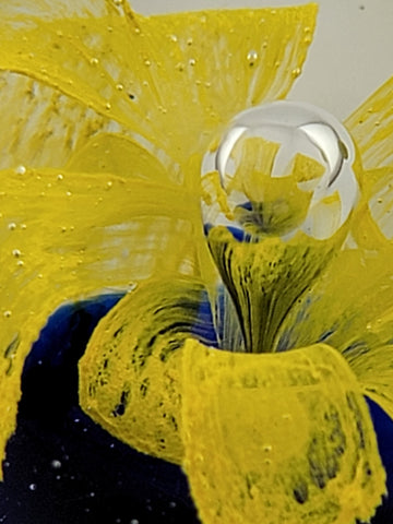 Vintage Art Glass Paperweight Yellow Flower Inside Cobalt Glass (2 1/2'')