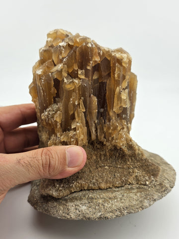 2 Natural Honey Brown Crystal Mineral Clusters Barite on Concrete Display Bases