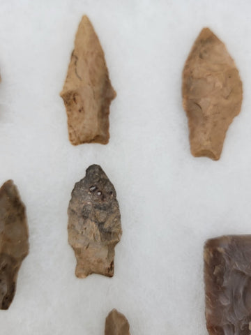 Lot Of 40 Authentic Antique Original Native American Arrowheads In Display Tray.