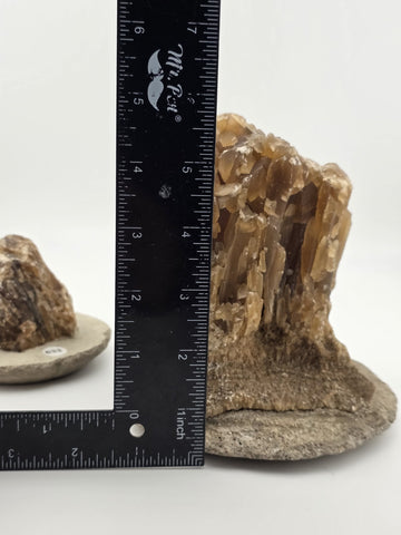 2 Natural Honey Brown Crystal Mineral Clusters Barite on Concrete Display Bases
