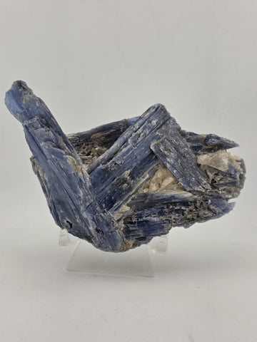 Large Blue Kyanite Crystal Cluster with Quartz Matrix Display. 1 Lb 6 Oz.