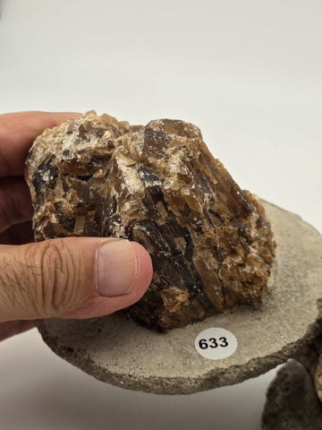 2 Natural Honey Brown Crystal Mineral Clusters Barite on Concrete Display Bases