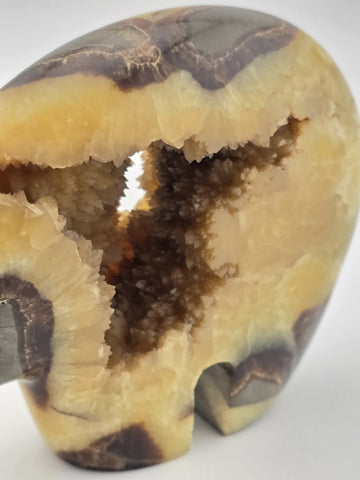 Septarian Nodule Bear Large Figurine Hand Carved Dragon Stone Crystal Sculpture