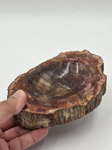 Rare Set of 3 Vintage Polished Petrified Wood Ashtrays / Catchall Bowls"