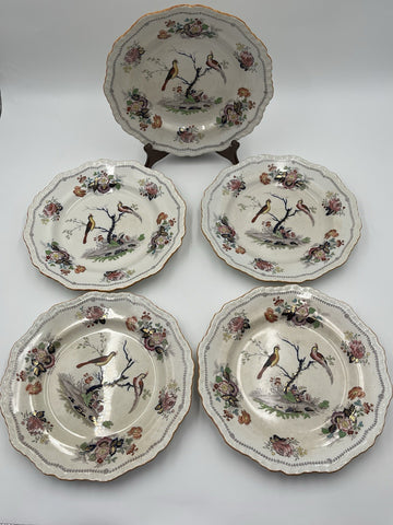 Rare Set Of 5 Antique C1910 Masons Ironstone Paynsley Plates Bird Floral England