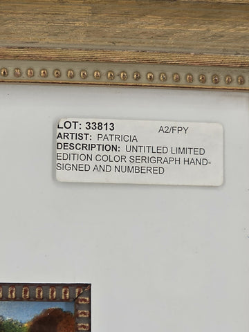 Patricia Govezensky Signed Limited Edition Serigraph 64/375 Framed Color W COA