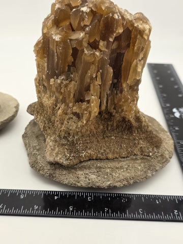 2 Natural Honey Brown Crystal Mineral Clusters Barite on Concrete Display Bases